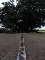 厳島神社(群馬県)