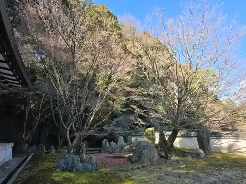 善能寺(京都府)