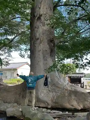 白鳥神社(長野県)
