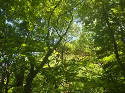 神應寺(京都府)