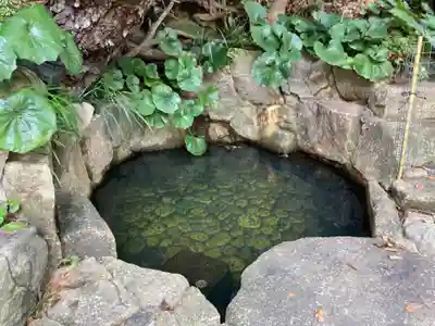 師岡熊野神社(神奈川県)