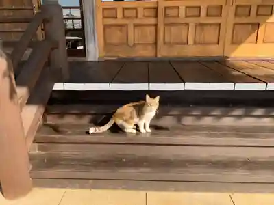 松林寺(千葉県)