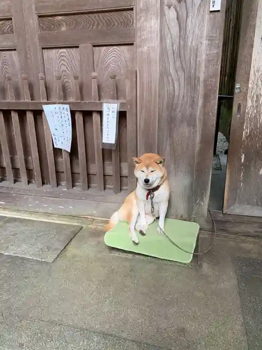 長谷寺(奈良県)
