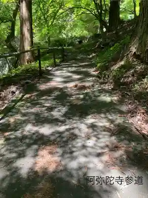 阿弥陀寺(長野県)