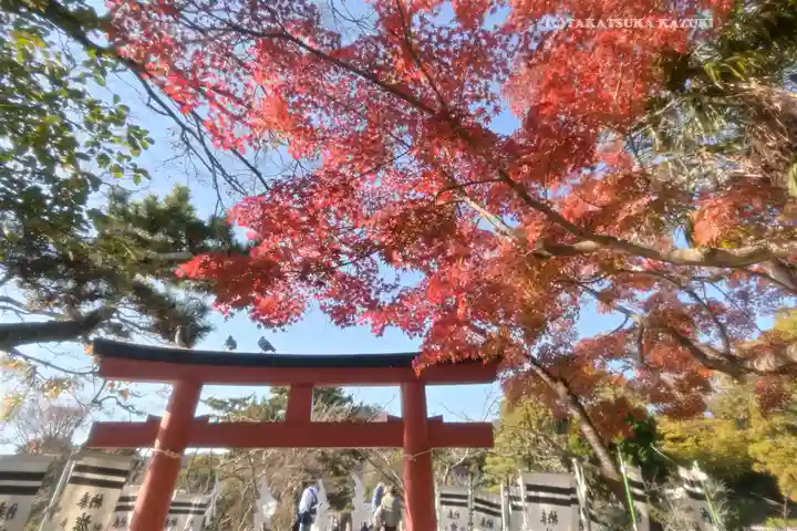 旗上弁財天社の自然