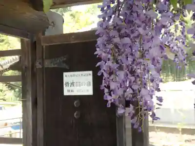 長泉寺のその他建物