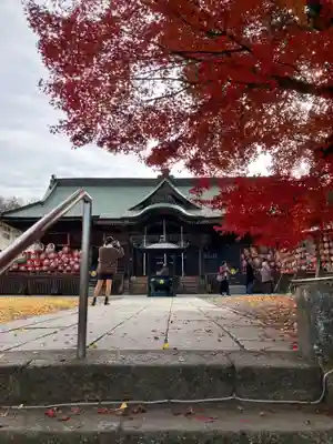 達磨寺(群馬県)