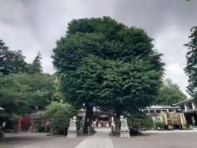 亀ケ池八幡宮(神奈川県)