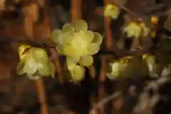 清水寺の自然