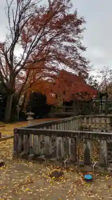 観音寺（山崎聖天）(京都府)