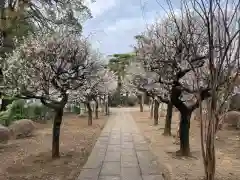 如意輪寺(東京都)