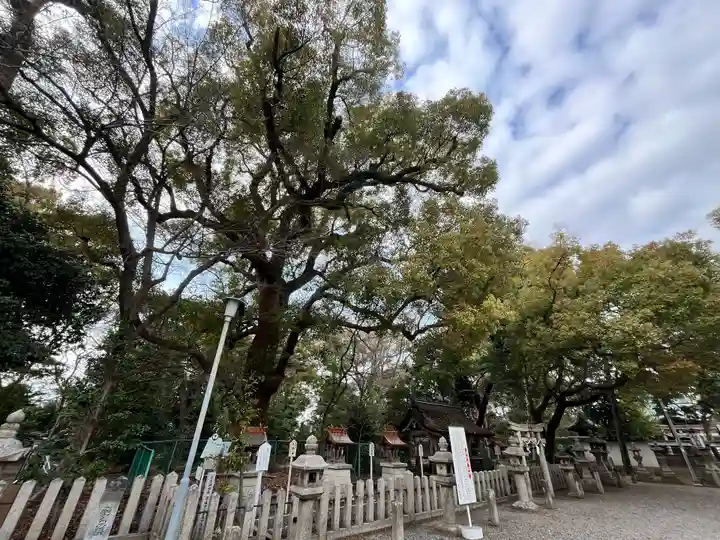 泉穴師神社(大阪府)