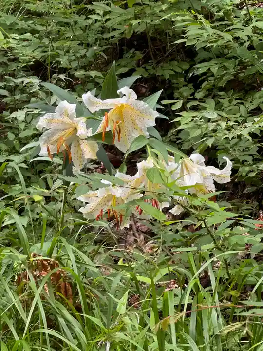 日枝神社(福島県)