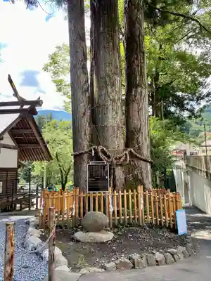 奥氷川神社の自然