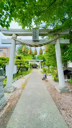 上青木氷川神社(埼玉県)