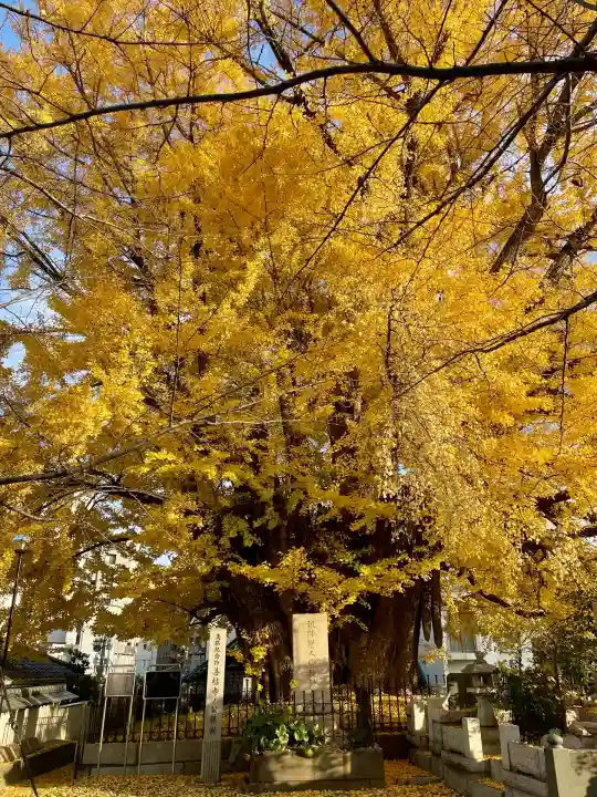 善福寺(東京都)