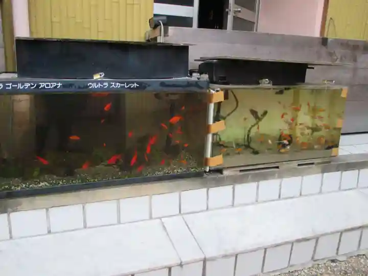 瀧尾神社(京都府)