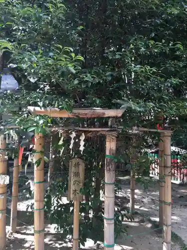 賣布神社の庭園