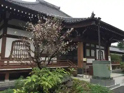 養源寺のその他建物