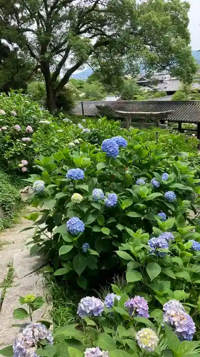 吉備津神社(岡山県)