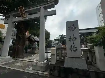 柏神社(千葉県)