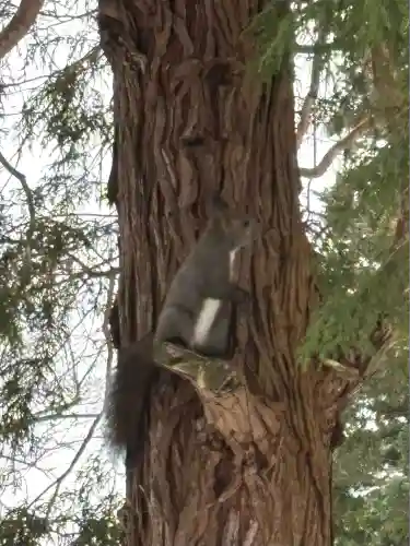 由仁神社(北海道)
