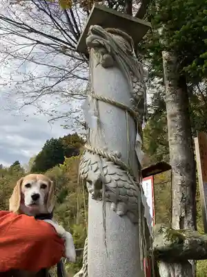 高龍神社(新潟県)