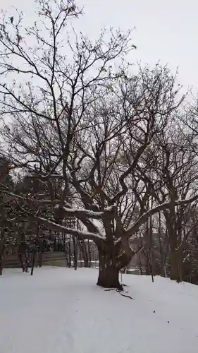 相馬神社(北海道)