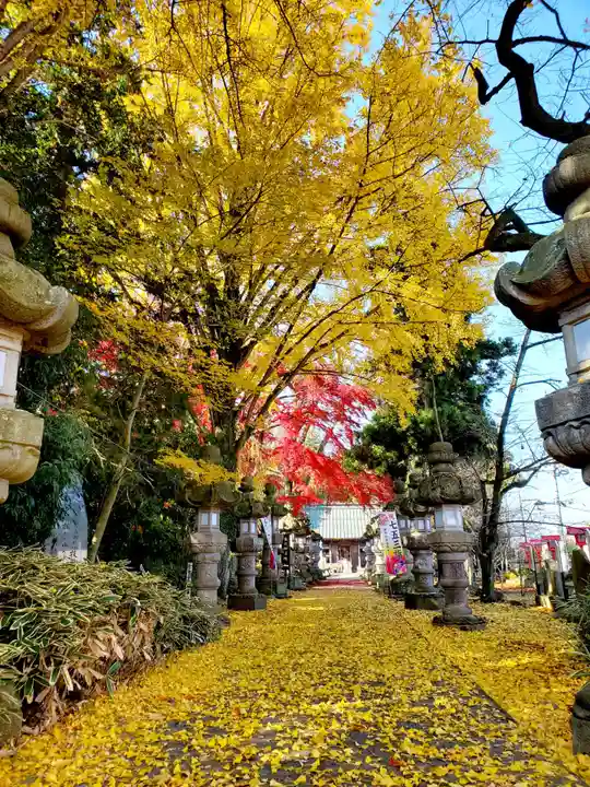 神炊館神社 ⁂奥州須賀川総鎮守⁂(福島県)