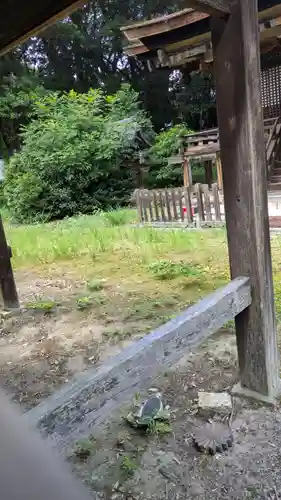 新羅善神堂（三井寺園城寺飛地境内・北院鎮守社）(滋賀県)