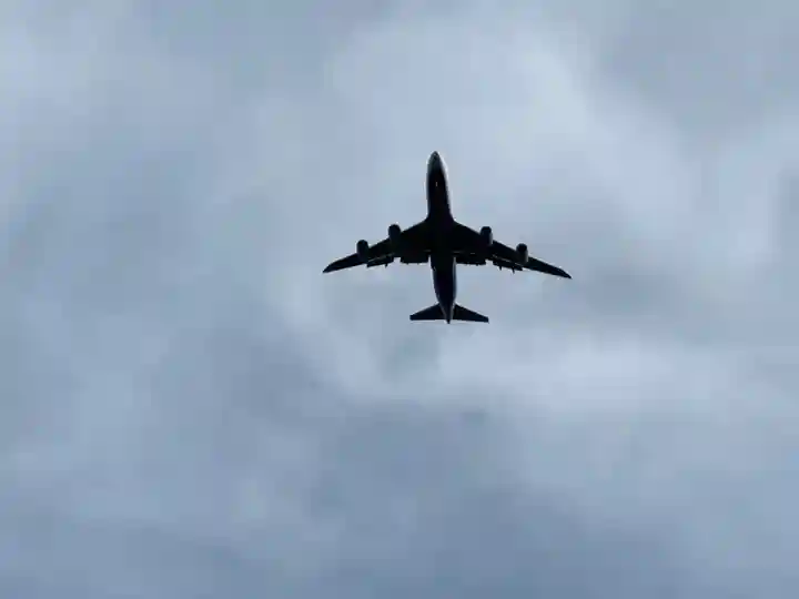 芝山仁王尊 観音教寺(千葉県)