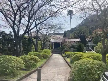 傳福寺【伝福寺】の{uncategorized: "未分類", other: "その他", undefined: "問題あり", building: "その他建物", grave: "お墓", sacred_gate: "鳥居", guardian: "狛犬", statue: "像", buddha: "仏像", history: "歴史", nature: "自然", garden: "庭園", animal: "動物", pagoda: "塔", temizu: "手水舎", mountain_gate: "山門・神門", sanctuary: "本殿・本堂", subordinate: "末社・摂社", art: "芸術", scenery: "景色", jizo: "地蔵", ema: "絵馬", goshuin: "御朱印", omikuji: "おみくじ", items: "授与品その他", amulet: "お守り", goshuincho: "御朱印帳", eats: "食事", festival: "お祭り", votive_dance: "神楽", shichigosan: "七五三参", wedding: "結婚式", experience: "体験その他", initially: "初詣", around: "周辺", anti_infection: "感染症対策"}