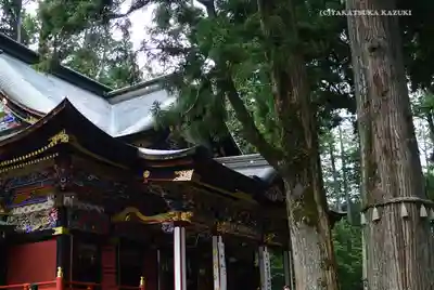 三峯神社の本殿・本堂