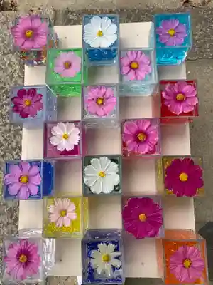 般若寺 ❁﻿コスモス寺❁(奈良県)