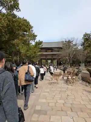 東大寺(奈良県)