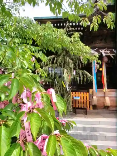 桜神宮(東京都)