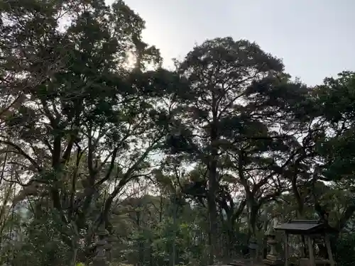 熊野神社の自然
