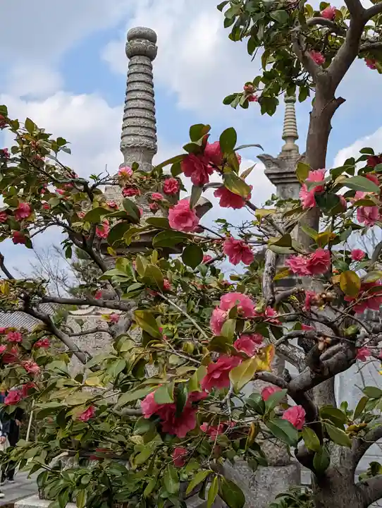 蓮華王院(三十三間堂)(京都府)