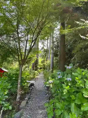 國吉神社(千葉県)
