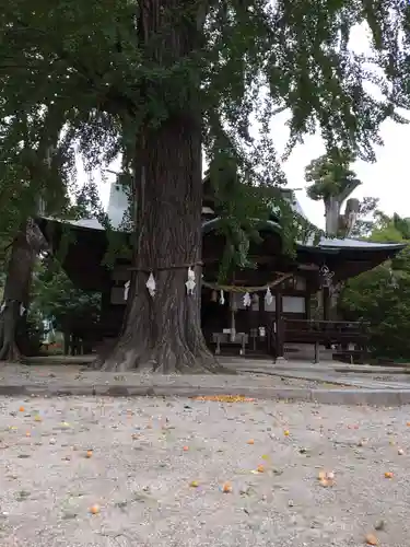 賀羅加波神社の本殿・本堂