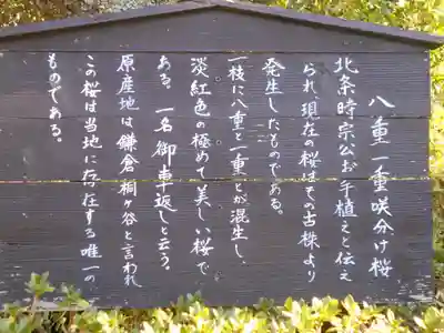 極楽寺(霊鷲山感應院極楽律寺)の歴史