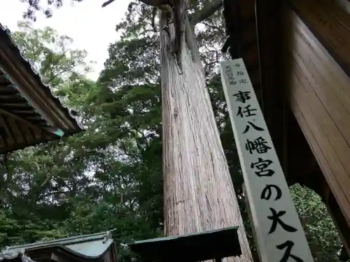 事任八幡宮の建物その他