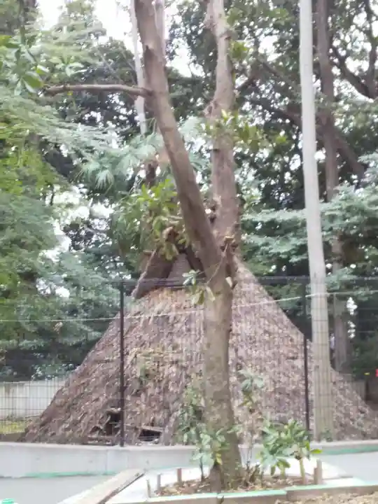 代々木八幡宮の自然