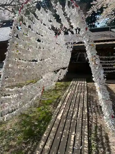 駒形神社のおみくじ