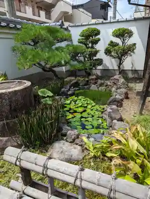 報土寺(京都府)