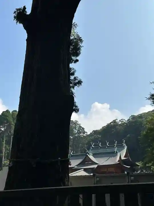 霧島神宮(鹿児島県)
