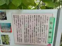 白山神社の歴史