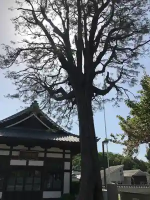 観音寺のその他建物