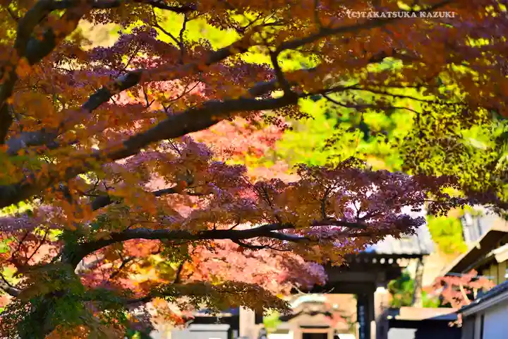 円覚寺(神奈川県)