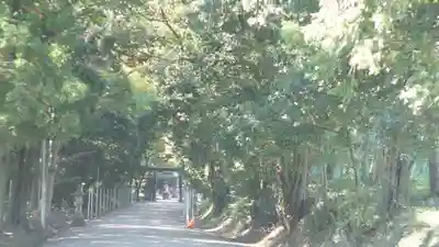 大和神社(奈良県)